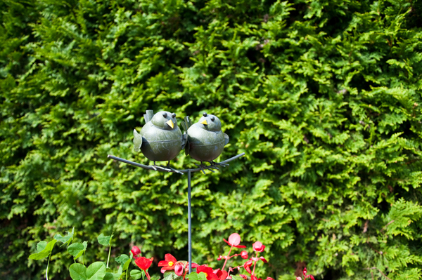 Gartengestalter Mauerbau